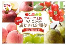 【全5回定期便】2025年りんごからのご自宅用満たされ定期便 千笑花夢提供 山形県 東根市 hi082-040