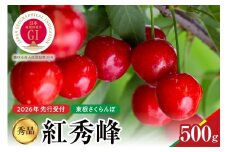 【2026年産　先行予約】紅秀峰 秀品 500g 山形県 東根市　hi004-hi062-052