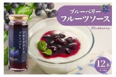 フルーツソース160g　ブルーベリー（12本）和歌山産業提供 山形県 東根市 hi070-010