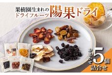 果樹園生まれの ドライフルーツ 「陽果ドライ」 おまかせ5個詰合せ 『漆山果樹園』 山形県 南陽市 [494]