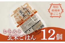 レトルトパック 「特別栽培米 夢ごこち 玄米ごはん」 160g×12パック 『(株)黒澤ファーム』 米 玄米 ご飯 レトルト 保存食 非常食 備蓄 防災 山形県 南陽市 [2325]