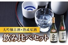 東の麓 古酒＆熟成酒セット 「大吟醸古酒10年 大銀杏 & 熟成原酒 秘造酒」各720ml 『東の麓酒造』 日本酒 2本セット 飲み比べ 山形県 南陽市 [742]