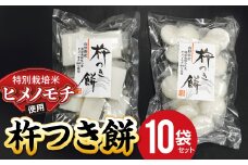 特別栽培米 ヒメノモチ 杵つき餅10袋セット (丸餅5袋・角餅5袋) 『(株)黒澤ファーム』 山形県 南陽市 [774]