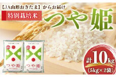 【令和6年産】 JA 特別栽培米 つや姫 10kg (5kg×2袋) 『JA山形おきたま』 山形置賜産 米 精米 山形県 南陽市 [639]