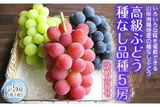 【令和7年産先行予約】 高級ぶどう 種なし品種 5房詰合せ 《令和7年9月中旬～発送》 『漆山果樹園』 葡萄 ぶどう ブドウ 種なし 新鮮 果物 フルーツ デザート 山形県 南陽市 [662]
