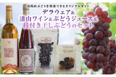 【令和7年産先行予約】 デラウェア 1箱 (5房前後入り) ＋ 漆山ワイン (デラウェア) ＋ 高級ぶどう果汁100%ジュース ＋ 枝付き干しぶどう 《令和7年7月中旬～発送》 『漆山果樹園』 山形県 南陽市 [785]