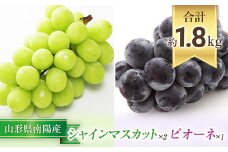 【令和7年産先行予約】 シャインマスカット 2房 ＋ ピオーネ 1房 《令和7年9月中旬～発送》 『漆山果樹園』 マスカット 葡萄 ぶどう ブドウ 果物 フルーツ デザート 山形県 南陽市 [812]