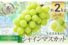 【令和7年産先行予約】 シャインマスカット 約2kg (3～4房 秀) 《令和7年9月中旬～発送》 『生産者おまかせ』 マスカット ぶどう 種なし 果物 フルーツ デザート 山形県 南陽市 [635]