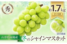 【令和6年産先行予約】 【南陽市農業祭 最優秀賞受賞農家】 冬のシャインマスカット 約1.7kg (2～3房 秀) 《令和6年12月中旬～12月25日発送》 『沼沢農園』 マスカット ぶどう 種なし 果物 フルーツ デザート 山形県 南陽市 [857]