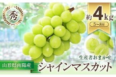 【令和7年産先行予約】 シャインマスカット 約4kg (5～8房 秀) 《令和7年9月中旬～発送》 『生産者おまかせ』 マスカット ぶどう 種なし 果物 フルーツ デザート 山形県 南陽市 [636]