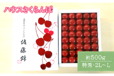 【令和7年産先行予約】 JA ハウスさくらんぼ 「佐藤錦」 約500g (特秀 2L～L) 化粧箱入り 《令和7年6月上旬～中旬発送》 『JA山形おきたま』 サクランボ 果物 フルーツ 山形県 南陽市 [860]