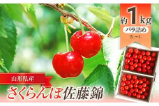 【令和7年産先行予約】 JA さくらんぼ 「佐藤錦」 約1kg (約500g×2パック 特秀 L～2L) バラ詰め 《令和7年6月中旬～発送》 『JA山形おきたま』 サクランボ 果物 フルーツ 山形県 南陽市 [723]