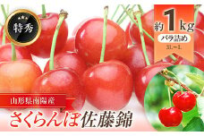 【令和7年産先行予約】 さくらんぼ 「佐藤錦」 約1kg (約500g×2パック 特秀 L～3L) バラ詰め 《令和7年6月中旬～発送》 『大野さくらんぼ団地』 サクランボ 果物 フルーツ 山形県 南陽市 [671]
