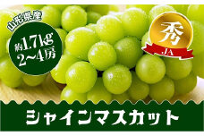 【令和7年産先行予約】 JA シャインマスカット 約1.7kg (2～4房 秀) 《令和7年9月下旬～発送》 『JA山形おきたま』 山形県 南陽市 [715]