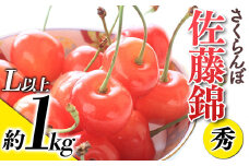 【令和7年産先行予約】 さくらんぼ 「佐藤錦」 約1kg (秀 L以上) バラ詰め 《令和7年6月上旬～発送》 『生産者おまかせ』 サクランボ 果物 フルーツ 産地直送 生産農家直送 山形県 南陽市 [881]