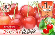 【令和7年産先行予約】 さくらんぼ 「佐藤錦」 約1kg (秀 2L以上) バラ詰め 《令和7年6月上旬～発送》 『生産者おまかせ』 サクランボ 果物 フルーツ 産地直送 生産農家直送 山形県 南陽市 [883]