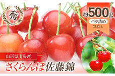 【令和6年産先行予約】 さくらんぼ 「佐藤錦」 約500g (秀 2L以上) バラ詰め 《令和6年6月上旬～発送》 『生産者おまかせ』 サクランボ 果物 フルーツ 産地直送 生産農家直送 山形県 南陽市 [885]