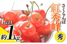 【令和7年産先行予約】 さくらんぼ 「紅秀峰」 約1kg (秀 L以上) バラ詰め 《令和7年6月下旬～発送》 『生産者おまかせ』 サクランボ 果物 フルーツ 産地直送 生産農家直送 山形県 南陽市 [887]