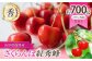 ※画像はイメージです。