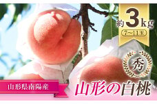 【令和7年産先行予約】 もも「川中島･あかつき･まどか 等」 約3kg (7～11玉) 《令和7年7月下旬～発送》 『生産者 佐藤 勇二』 桃 モモ 果物 フルーツ 産地直送 生産農家直送 山形県 南陽市 [591]