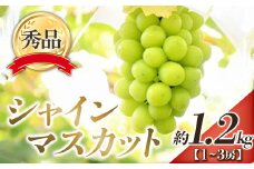 【令和7年産先行予約】 シャインマスカット 約1.2kg (1～3房 秀) 《令和7年9月下旬～11月中旬発送》 『フードシステムズ』 マスカット 葡萄 ぶどう 種なし 果物 フルーツ デザート 山形県 南陽市 [902]