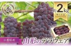 【令和7年産先行予約】 JA デラウェア 約2kg (2L 秀) 《令和7年7月下旬～8月下旬発送》 『JA山形おきたま』 葡萄 ぶどう ブドウ 種なし 果物 フルーツ 山形県 南陽市 [921]