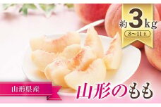 【令和7年産先行予約】 JA もも 「川中島･ゆうぞら･美月 等」 約3kg (8～11玉) 化粧箱入り 《令和7年8月下旬～9月下旬発送》 『JA山形おきたま』 桃 モモ 果物 フルーツ 山形県 南陽市 [714]