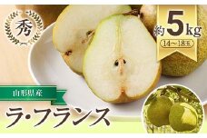 【令和7年産先行予約】 JA ラ・フランス 約5kg (14～18玉 秀) 《令和7年11月上旬～12月上旬発送》 『JA山形おきたま』 洋梨 果物 フルーツ 山形県 南陽市 [717-R7]