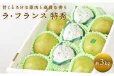 【令和7年産先行予約】 十三代目 佐藤市右衛門 ラ・フランス 約3kg (7～10玉 特秀 3～6L) 《令和7年11月上旬～発送》 『旬の果実 佐藤市右衛門農園』 ラフランス 西洋梨 洋なし 果物 フルーツ デザート 山形県 南陽市 [677]