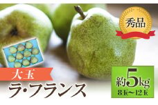 【令和7年産先行予約】 JA 大玉 ラ・フランス 約5kg ( 8～12玉 秀) 《令和7年11月上旬～12月上旬発送》 『JA山形おきたま』 洋梨 果物 フルーツ 山形県 南陽市 [718-R7]