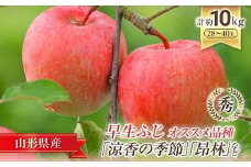 【令和7年産先行予約】 JA 早生ふじ 「涼香の季節･昂林 等」 約10kg (28～40玉) 《令和7年9月下旬～10月中旬発送》 『JA山形おきたま』 山形県 南陽市 [927]