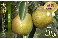 【令和7年産先行予約】 厳選！！大玉ラ・フランス 約5kg (10～14玉 4～6L) 化粧箱入り 《令和7年11月上旬～発送》  『船中農園』 山形県 南陽市 [953]