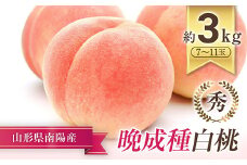 【令和7年産先行予約】 晩成のもも「あぶくま･だて白桃･西王母 等」約3kg  (7～11玉) 《令和7年9月上旬～発送》 『生産者 佐藤 勇二』 桃 モモ 果物 フルーツ 産地直送 生産農家直送 山形県 南陽市 [967]