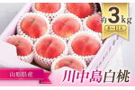 【令和7年産先行予約】 JA もも 「川中島」 約3kg (8～11玉) 化粧箱入り 《令和7年8月下旬～9月下旬発送》 『JA山形おきたま』 桃 モモ 果物 フルーツ 山形県 南陽市 [982]