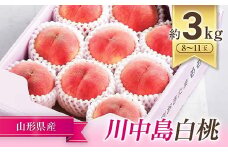 【令和7年産先行予約】 JA もも 「川中島」 約3kg (8～11玉) 化粧箱入り 《令和7年8月下旬～9月下旬発送》 『JA山形おきたま』 桃 モモ 果物 フルーツ 山形県 南陽市 [982]