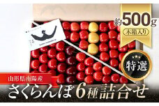【令和7年産先行予約】 さくらんぼ 6種詰合せ 約500g (特選 木箱入り) 《令和7年6月中旬～発送》 『最上園』 サクランボ 食べ比べ セット 果物 フルーツ 産地直送 山形県 南陽市 [681]