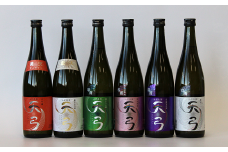 【流通限定品】 東の麓 天弓飲み比べセット 720ml×6本セット 『東の麓酒造』 日本酒 山形県 南陽市 [996]
