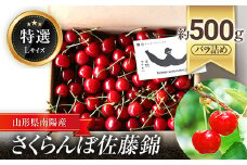 【令和7年産先行予約】 さくらんぼ 「佐藤錦」 約500g (特選 L玉) バラ詰め 《令和7年6月中旬～発送》 『最上園』 サクランボ 果物 フルーツ 産地直送 山形県 南陽市 [989]