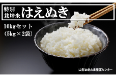 特別栽培米 はえぬき 10kg (5kg×2袋) 『山形おきたま産直センター』 山形県 南陽市 [1000]