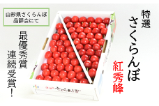 【令和7年産先行予約】 【県品評会最優秀賞W受賞農園】 さくらんぼ 「紅秀峰」 約1kg (特選 2～3L) 鏡詰め 《令和7年6月下旬～発送》 『遠藤果樹農園』 果物 フルーツ 山形県 南陽市 [1018]