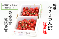 【令和7年産先行予約】 【県品評会最優秀賞W受賞農園】 さくらんぼ 「紅秀峰」 約1kg (特選 2～3L) バラ詰め 《令和7年6月下旬～発送》 『遠藤果樹農園』 果物 フルーツ 山形県 南陽市 [1019]