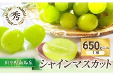 【令和7年産先行予約】 シャインマスカット 650g以上 (1房 秀) 《令和7年9月上旬～発送》 『フナヤマ農園』 マスカット ぶどう 果物 フルーツ デザート 山形県 南陽市 [810]