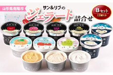サン＆リブのジェラート詰合せBセット 12個 『山形食品(株)』 山形県 南陽市 [1026]