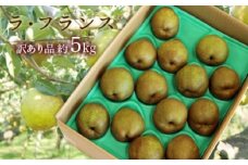 【令和7年産先行予約】 〈訳あり品 家庭用〉 ラ・フランス 約5kg (10～18玉 中～大玉) 《令和7年11月上旬～発送》 『旬の果実 佐藤市右衛門農園』 ラフランス 西洋梨 洋なし 訳あり 果物 フルーツ デザート 山形県 南陽市 [1047]