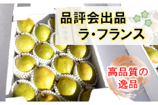 品評会出品 【特選】 ラ・フランス 約5kg (16個) 《令和6年11月16日一斉発送》 『JA山形おきたま』 南陽市農業祭 山形県 南陽市 [1075]