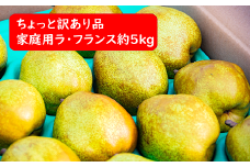 【令和7年産先行予約】 〈訳あり品 家庭用〉 ちょっと訳あり ラ・フランス 約5kg (14～18玉 2～4L) 《令和7年11月～発送》 『たけひさ農園』 ラフランス 西洋梨 洋なし 果物 フルーツ デザート 山形県 南陽市 [1089]