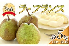 【令和7年産先行予約】 ラ・フランス  約5kg (10～18玉 秀)  《令和7年10月下旬～11月下旬発送》 『フードシステムズ』 ラフランス 西洋梨 洋なし 果物 フルーツ デザート 山形県 南陽市 [849-R7]