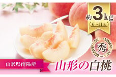 【令和7年産先行予約】 もも「川中島･ゆうぞら･美月･あぶくま 等」 約3kg (6～11玉) 《令和7年8月下旬～発送》 『生産者 髙橋 賢一』 桃 モモ 果物 フルーツ 産地直送 生産農家直送 山形県 南陽市 [1106]