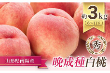 【令和7年産先行予約】 晩成のもも「だて白桃･さくら･西王母 等」 約3kg (6～11玉) 《令和7年9月中旬～発送》 『生産者 髙橋 賢一』 桃 モモ 果物 フルーツ 産地直送 生産農家直送 山形県 南陽市 [1107]