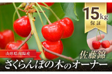 【令和7年産先行予約】 さくらんぼの木のオーナー 「佐藤錦」 15kg保障 《令和7年6月発送分》 『大野さくらんぼ団地』 サクランボ 果物 フルーツ 山形県 南陽市 [672]